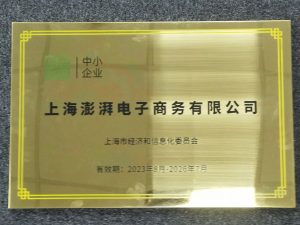 澎湃跨境以全球化视野构建电商发展新生态，打造行业新标杆插图3